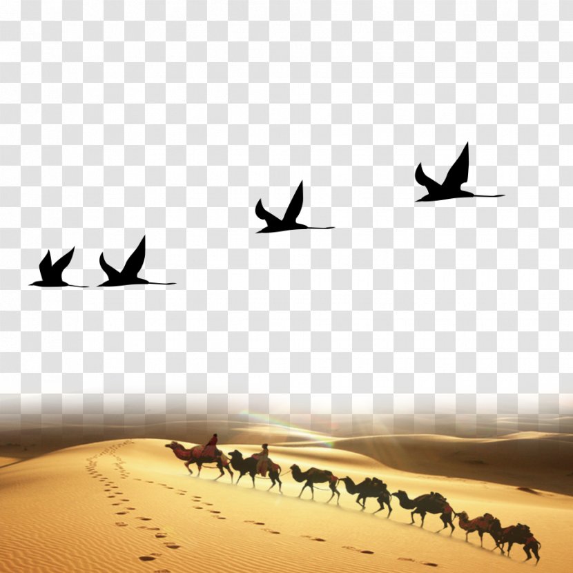 Corporate Design Business Identity Advertising Limited Liability Company - Landscape - Desert Camel Real Scene Transparent PNG