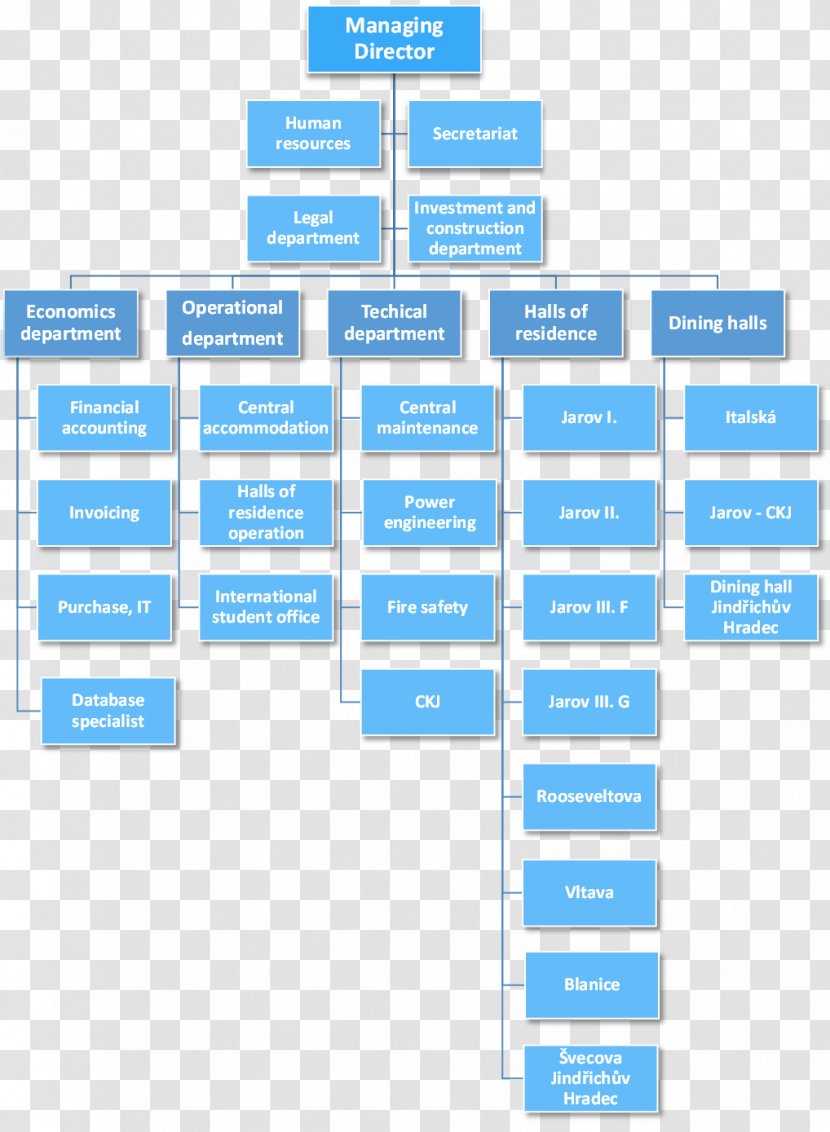Organizational Chart Structure Company Management - University Dormitory Transparent PNG