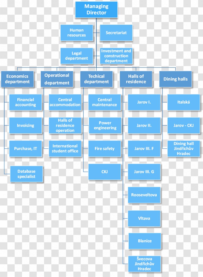 Organizational Chart Structure Company Management - University ...