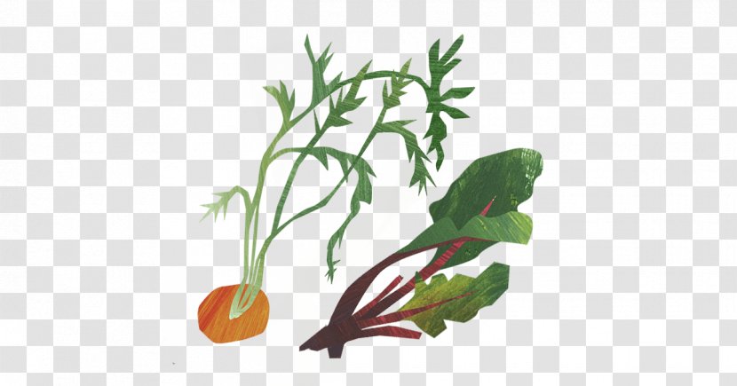 Herb Unicorn Grocery Organic Food Leaf Vegetable Transparent PNG