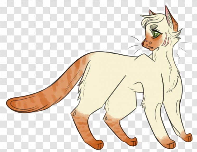Whiskers Cat Lion Red Fox Dog Transparent PNG