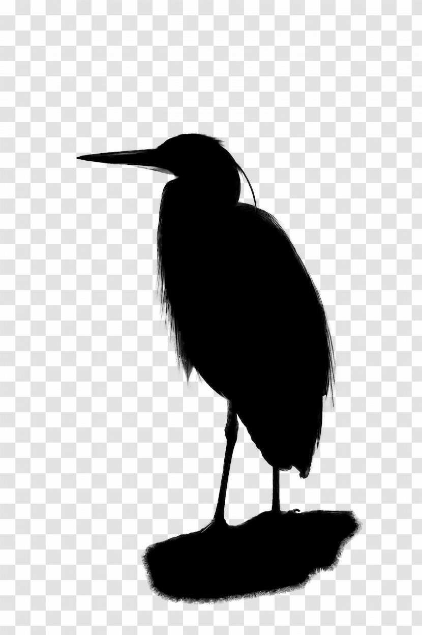 Beak Fauna Silhouette Neck - Bird - Art Transparent PNG