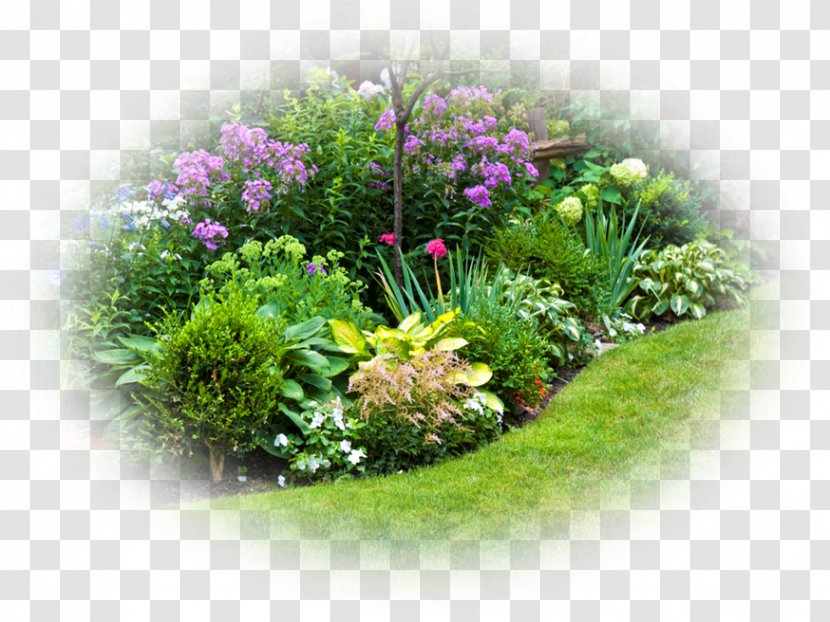 Perennial Garden Design Plants Shade Plant - Herb - Gardens Transparent PNG