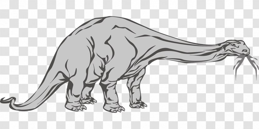 Brachiosaurus Reptile Dinosaur Pictures - Joint Transparent PNG