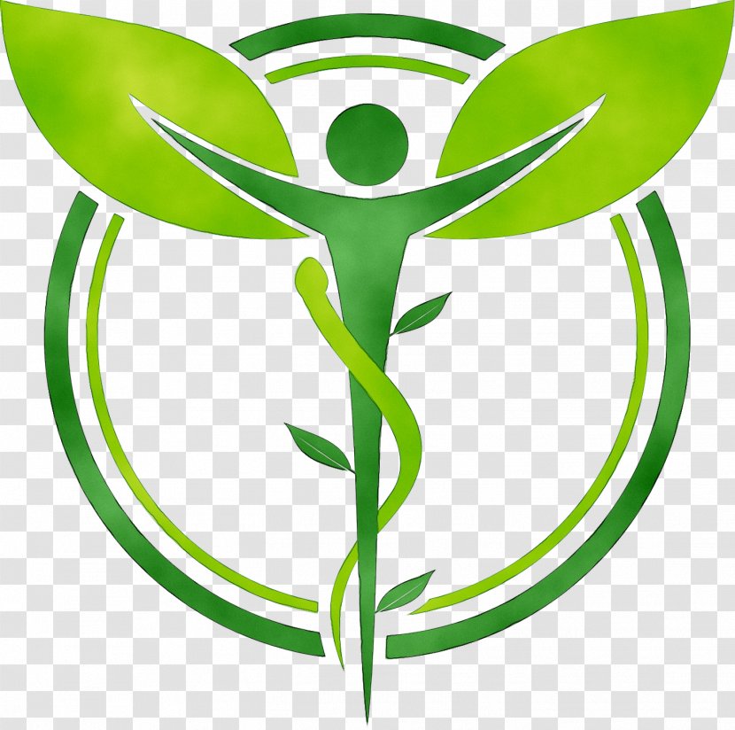 Ayurvedic Home Remedies Ayurveda Therapy Naturopathy Health - Massage - Panchakarma Transparent PNG
