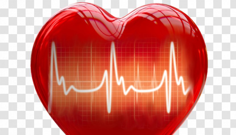 Heart Rate Variability Medicine Cardiology - Frame Transparent PNG