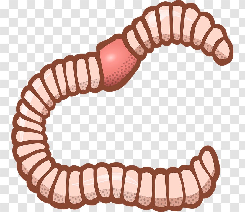 Worm Clip Art - Earthworm Transparent PNG