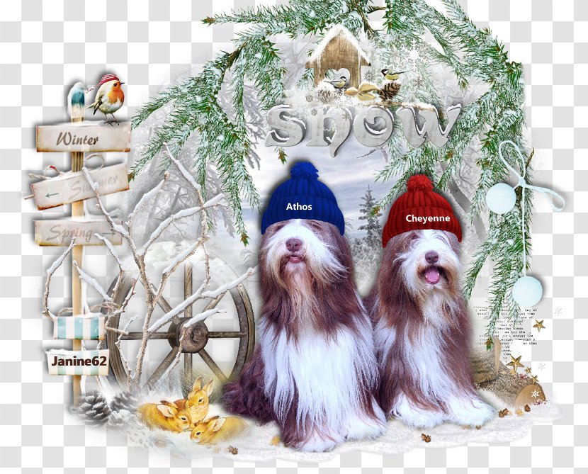 Dog Breed Shih Tzu Christmas Ornament Tree - Decoration Transparent PNG