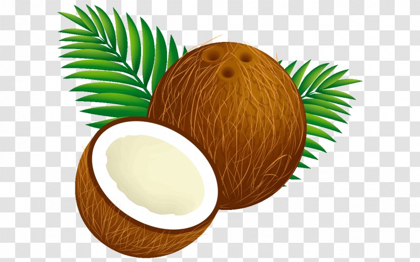 Palm Tree - Plant - Arecales Food Transparent PNG