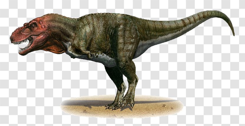 Tyrannosaurus Late Cretaceous Dinosaur Torvosaurus - Period - Dinosaurs Transparent PNG