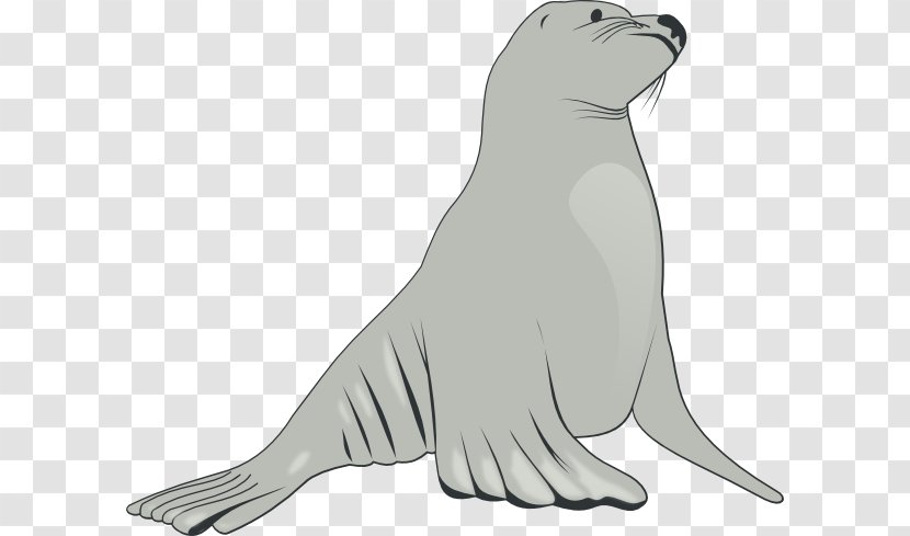 Sea Lion Cartoon Clip Art - Pictures For Kids Transparent PNG