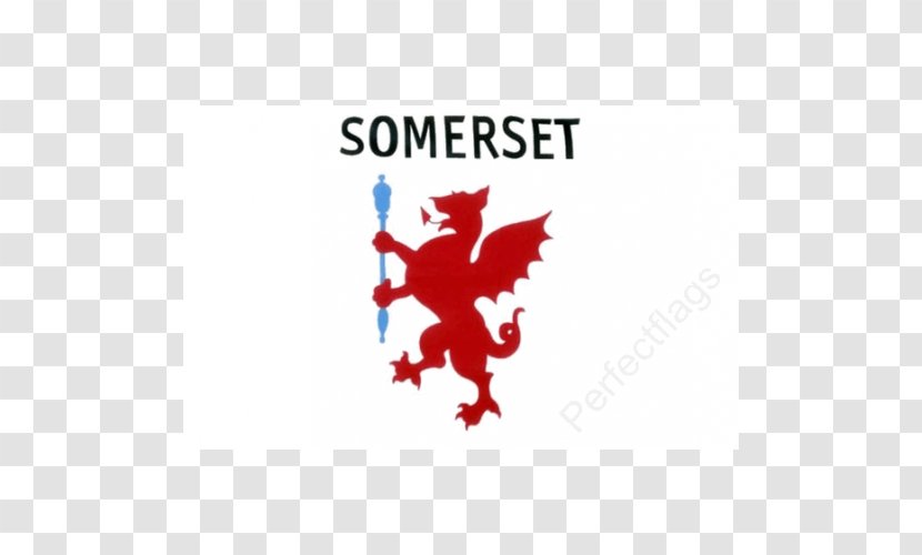 Taunton Somerset County Council South Mendip District - Brand Transparent PNG