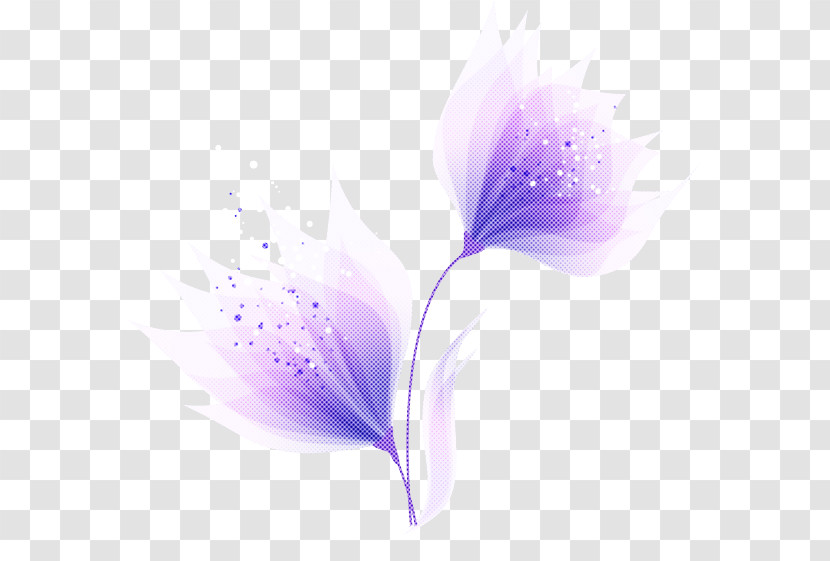 Lavender Transparent PNG