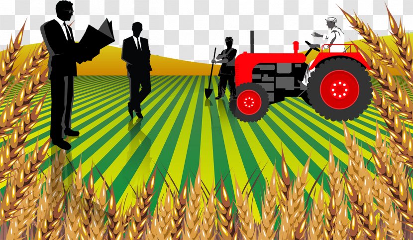 India Agriculture Rural Area Entrepreneurship Business - Land Wheat Harvest Illustration Transparent PNG