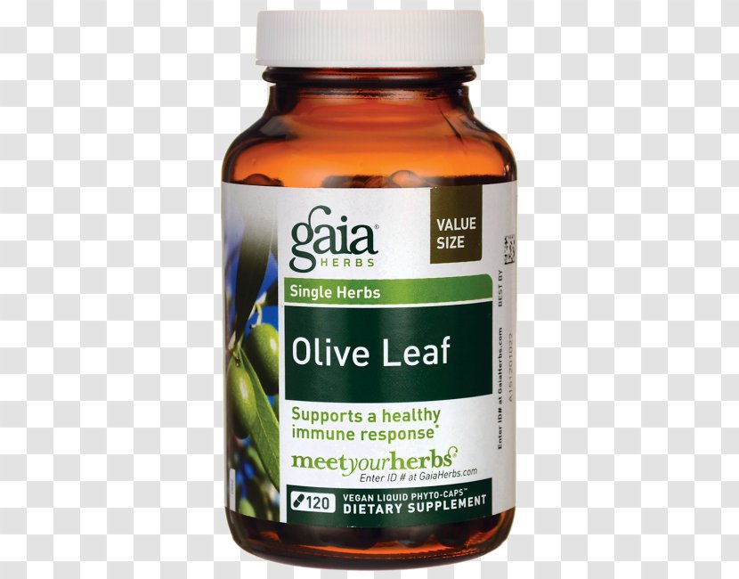 Gaia Herbs Olive Leaf, 120 Liquid Phyto-Capsules Dietary Supplement Product - Superfood - Leaf Transparent PNG