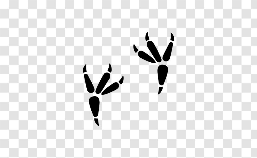 Peregrine Falcon Red Fox Footprint - Branch Transparent PNG