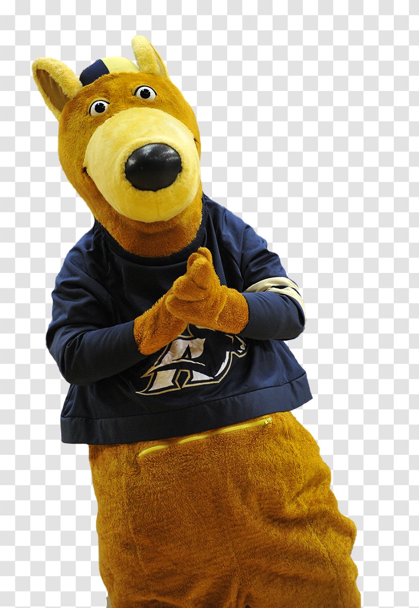 University Of Akron Zips Football Mascot Zippy - Halftime Transparent PNG