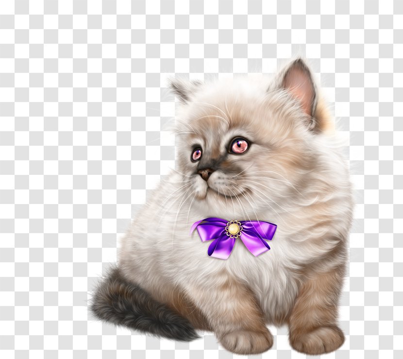 Cat Kitten Clip Art Image Dog - Asian Transparent PNG