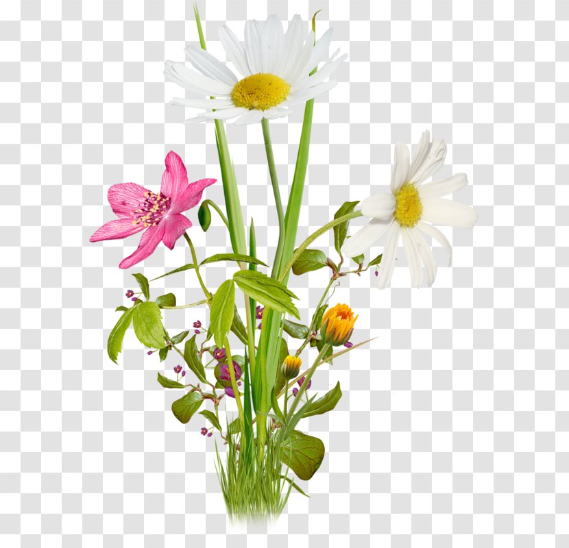 Colored Floral Design - Wildflower - Artificial Flower Transparent PNG