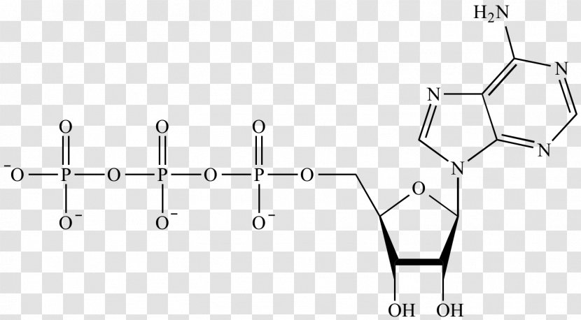 Phosphate Functional Group Phosphorus Organic Chemistry - Structural Formula - Nucleotide Transparent PNG
