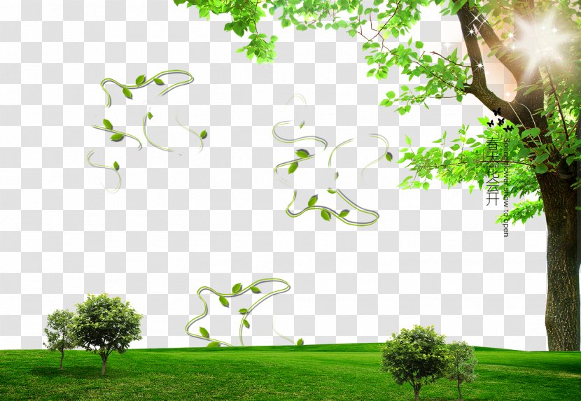 Photography - Green - Spring Poster Background Effect Transparent PNG