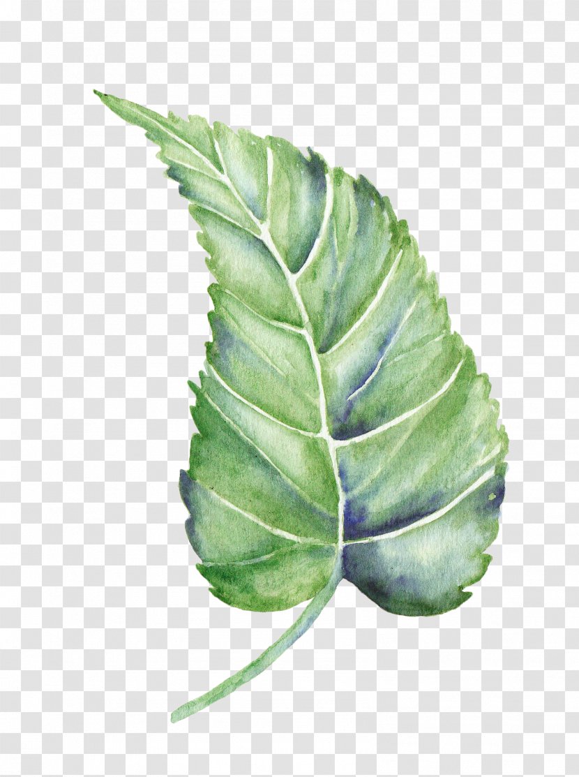 Leaf Watercolor Painting Shape - Plant Leaves Transparent PNG