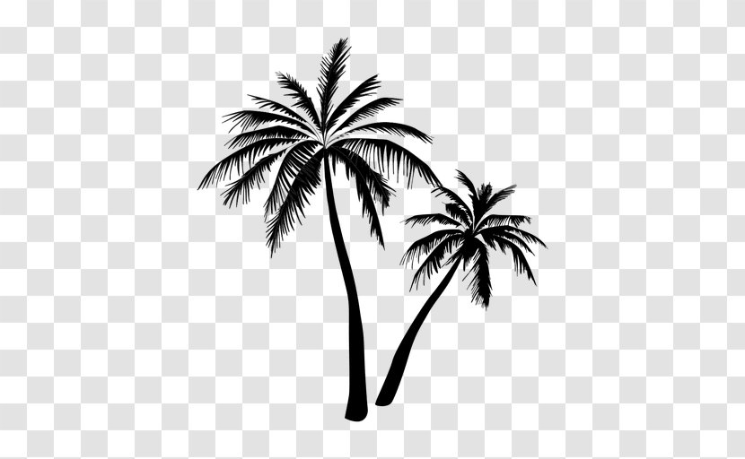 Arecaceae Tree Clip Art - Black And White - Tropical Forest Transparent PNG