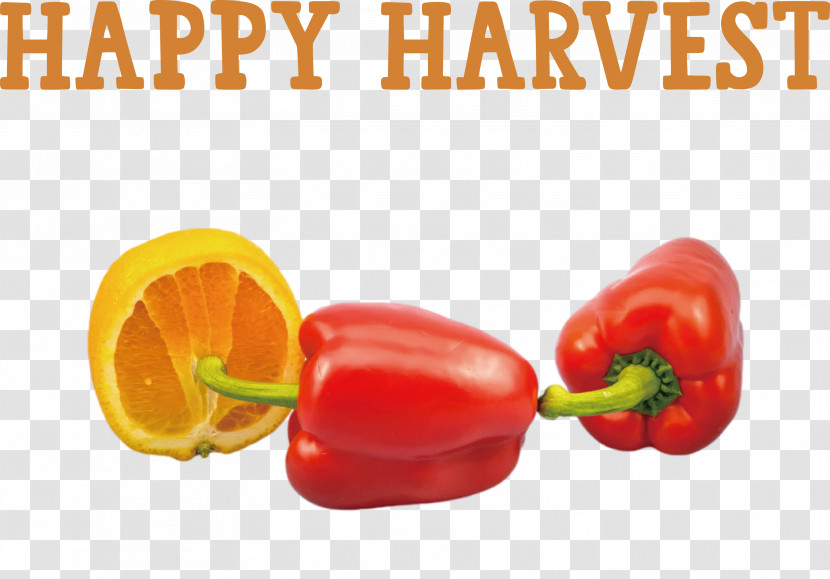 Happy Harvest Harvest Time Transparent PNG