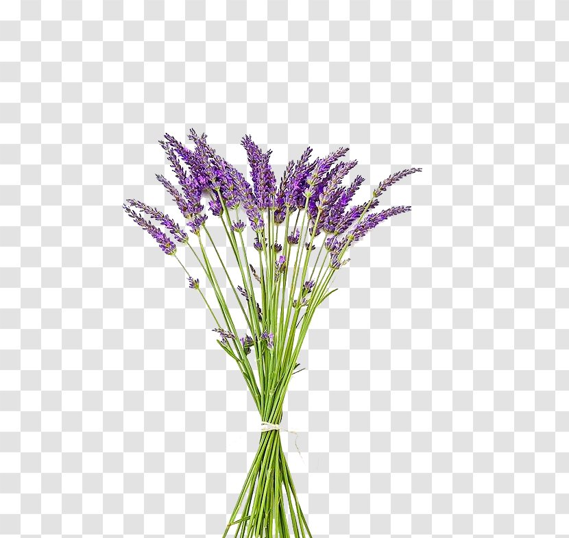 English Lavender Pressed Flower Craft Bouquet - Drop Shipping - Petal Transparent PNG