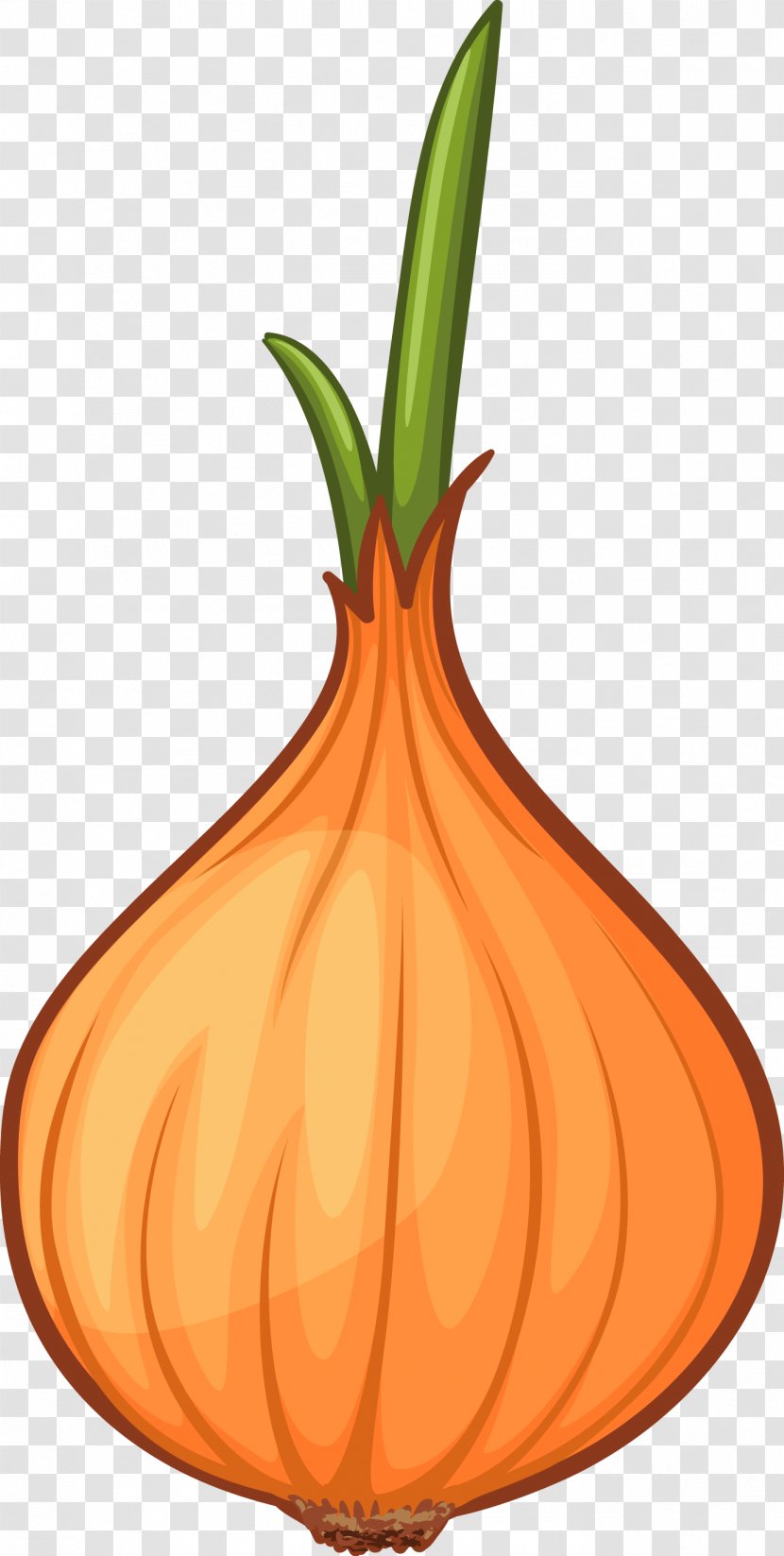 Calabaza Onion Cartoon Clip Art - Rgb Color Model - Creative Transparent PNG