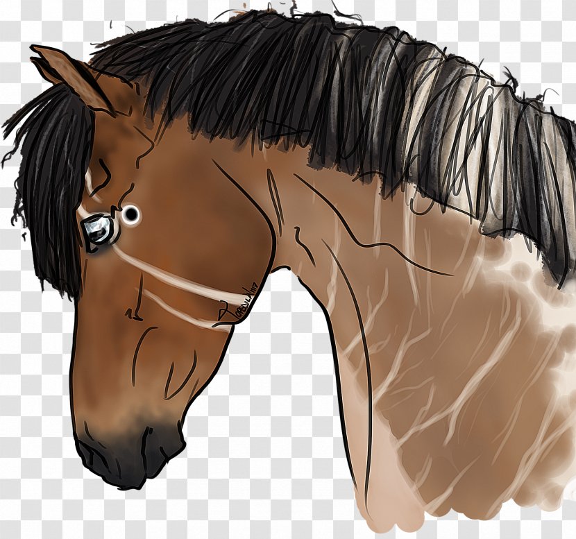 Mane Mustang Stallion Rein Halter - Hair Transparent PNG