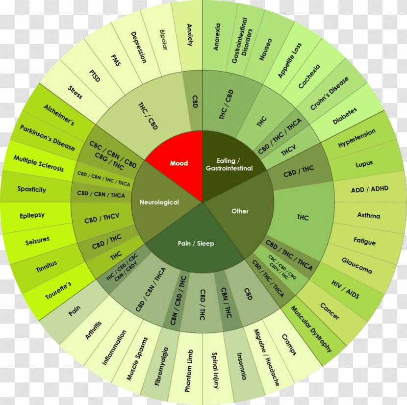 Medical Cannabis Cannabidiol Leafly Cannabinoid - Clock Transparent PNG