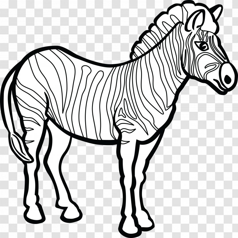 Zebra Line Art Clip - Horse Supplies Transparent PNG
