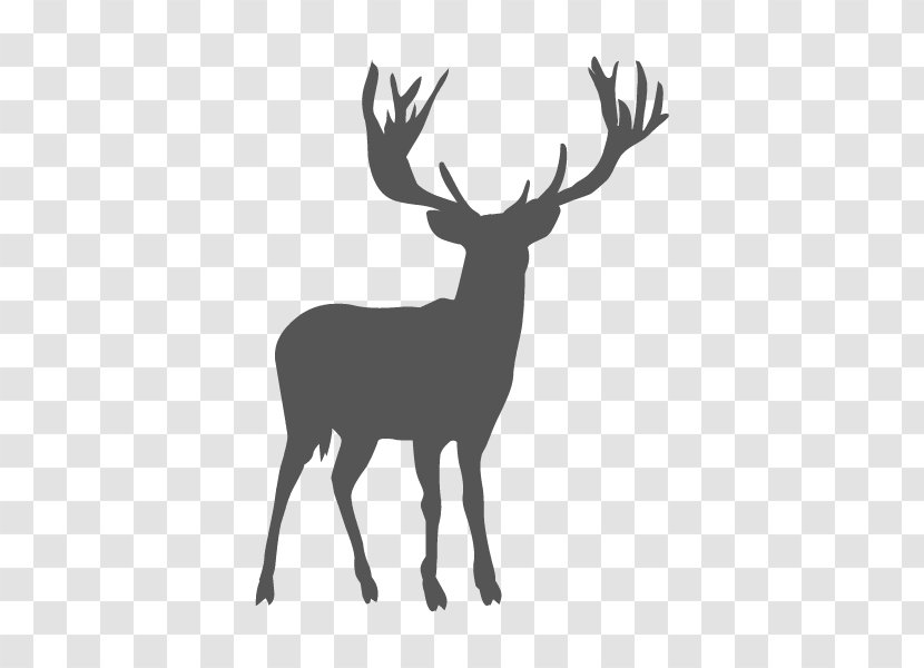 Reindeer White-tailed Deer Elk Antler - Fauna Transparent PNG