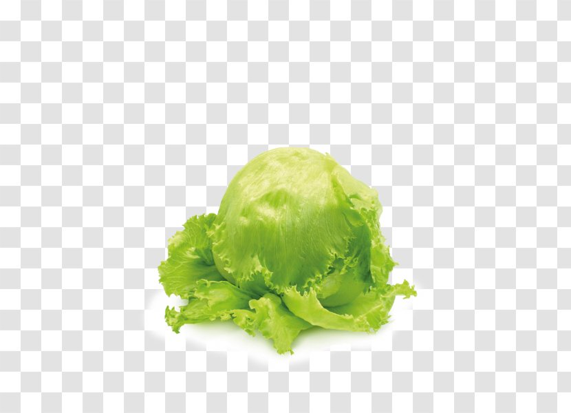Romaine Lettuce Iceberg Salad Vegetable Capitata Group - Fruit Transparent PNG