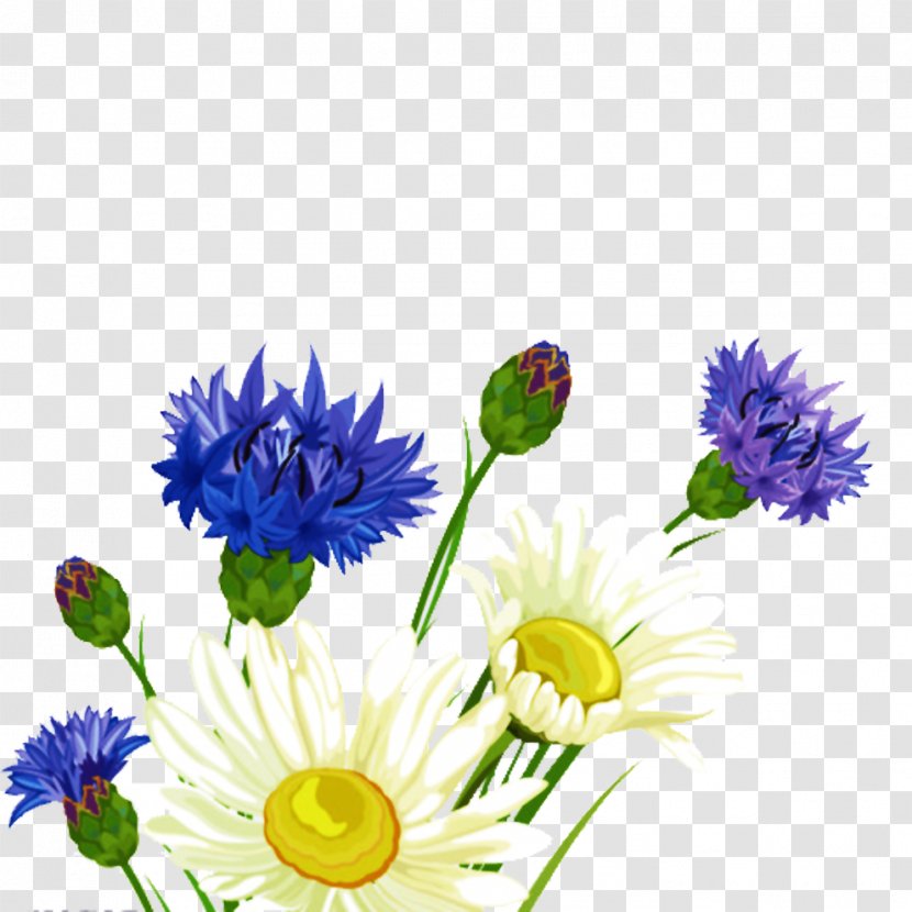 Flower Bouquet - Plant - White Purple Transparent PNG