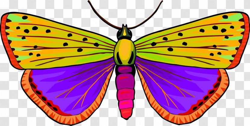 Butterfly Clip Art - Symmetry - Insect Transparent PNG