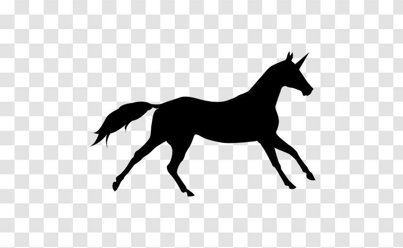 Horse Silhouette Clip Art - Equestrian Sport - Unicornio Transparent PNG