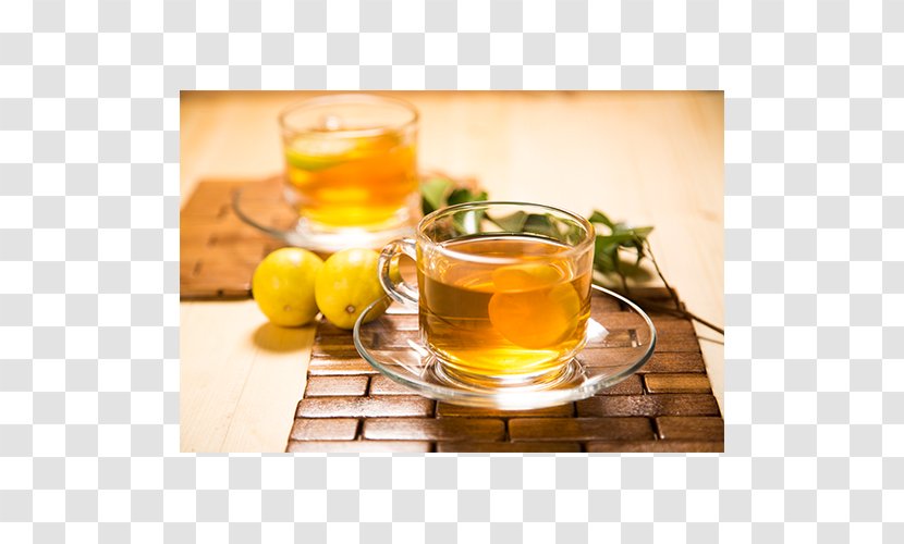 Iced Tea Grog Earl Grey Hot Toddy - Lemonade - Lemon Transparent PNG