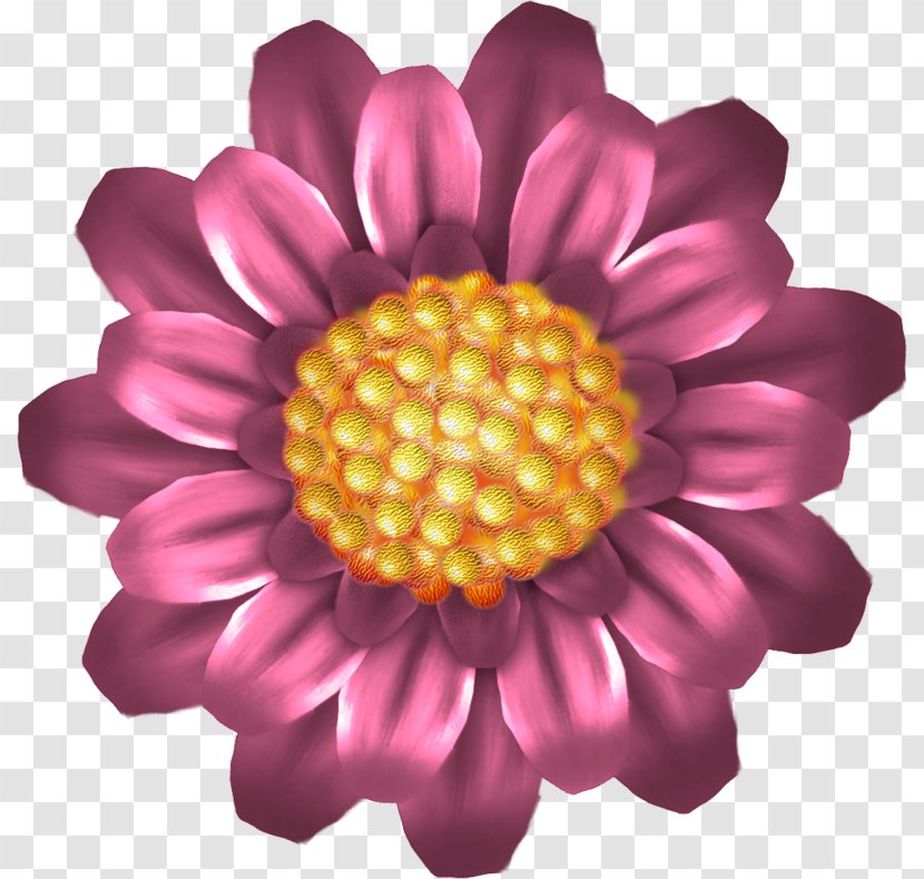 Drawing Red Flower Cartoon Transparent PNG