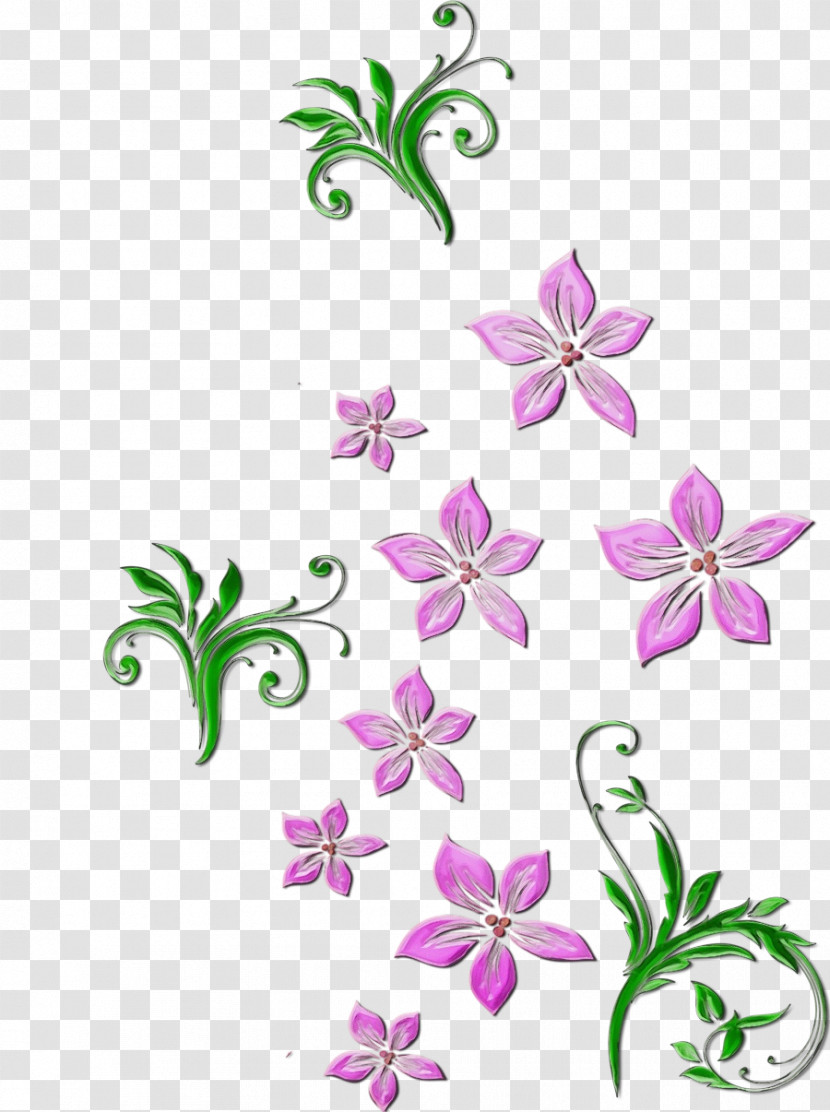 Flower Plant Pedicel Petal Wildflower Transparent PNG