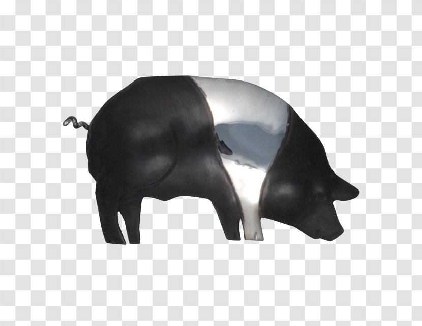 Pig Cattle Mammal Snout Black M Transparent PNG