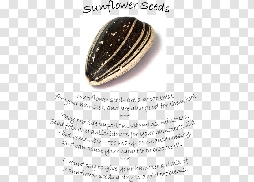 Jewellery Sunflower Seed Sunflowers Font Transparent PNG