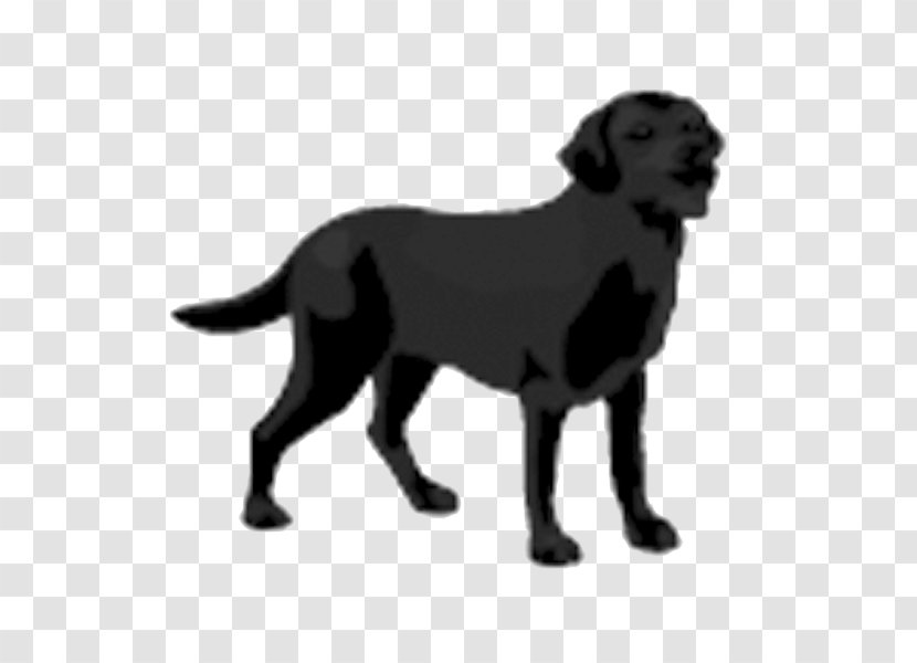 Labrador Retriever Flat-Coated Puppy Service Dog - Dogs Transparent PNG