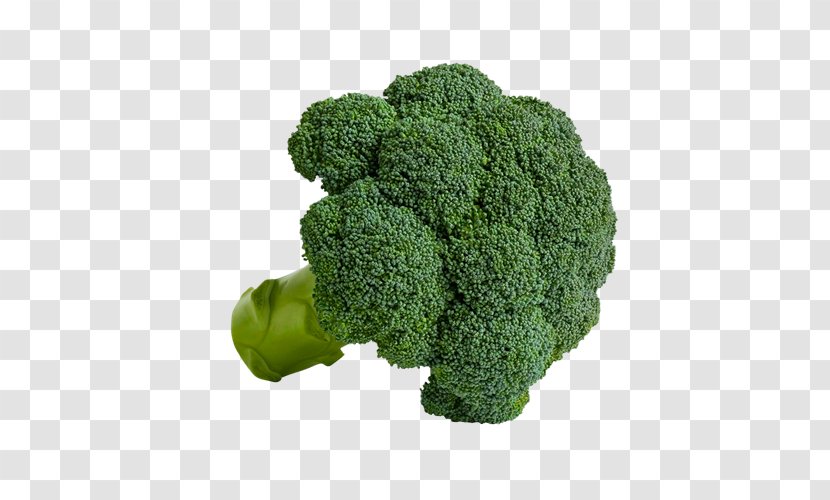 Broccoli Herb - Vegetable Transparent PNG