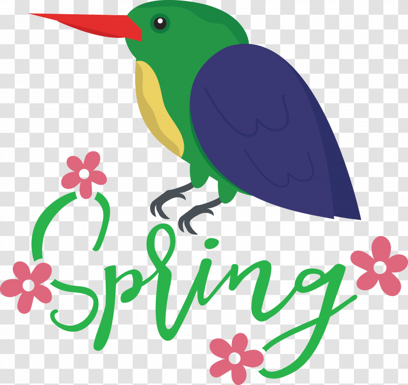 Spring Bird Transparent PNG