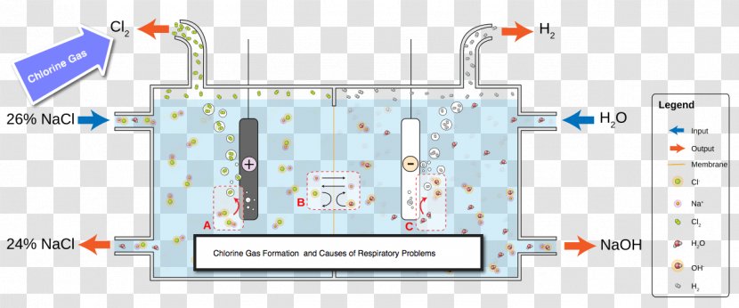 Bleach Electrolysis Of Water Sodium Chloride Chlorine - Magnesium Transparent PNG