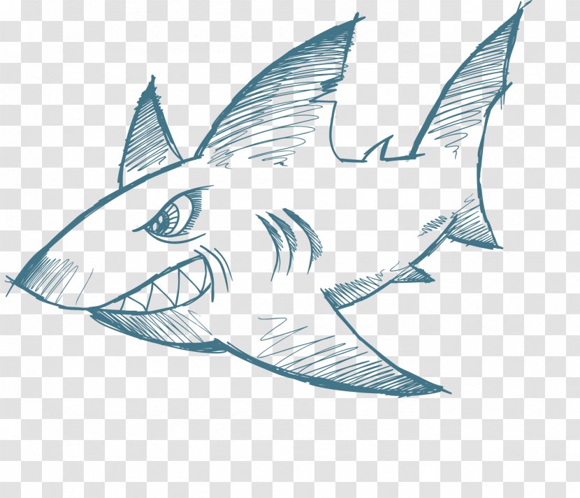 Shark Whale Sketch - Cuteness Transparent PNG