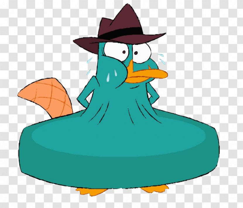 Perry The Platypus Dr. Heinz Doofenshmirtz Phineas Flynn Ferb Fletcher Duck - Animal - Gabriella Wilde Transparent PNG