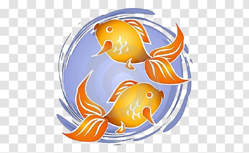 Goldfish Koi Aquarium Clip Art - Vertebrate - Fish Transparent PNG